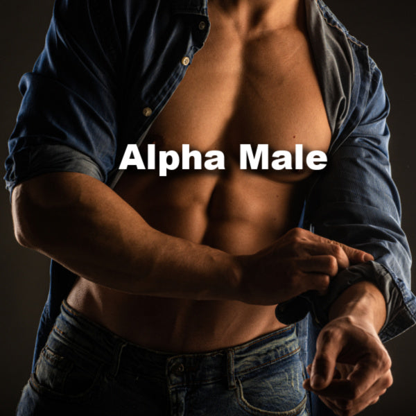 Alpha Male